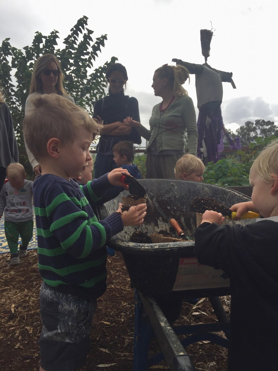 hilton community garden